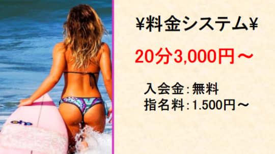 人魚姫の料金表