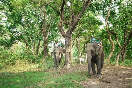 チトワン国立公園のゾウさんのり