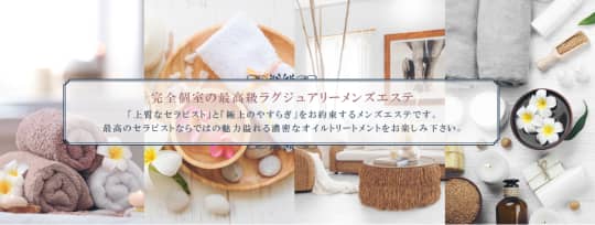 プラナスパのHP画像