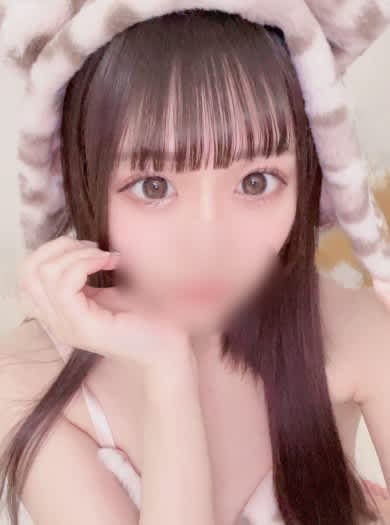ダンディHP