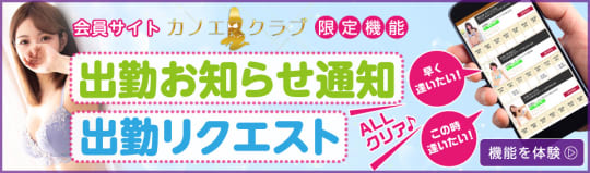 公式