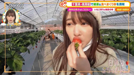 桜井日奈子 エロ