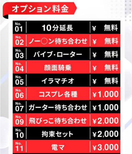 オプション料金