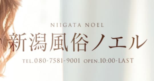 新潟風俗ノエル