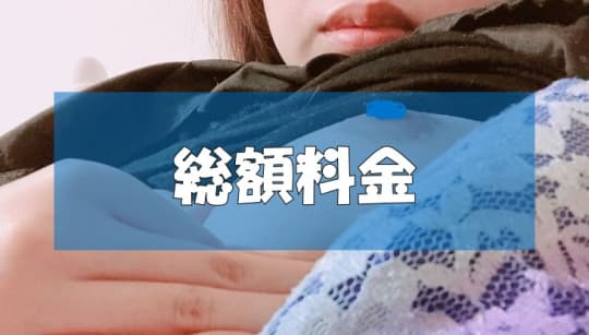 総額料金