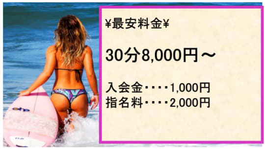 ビジョルナの料金システム