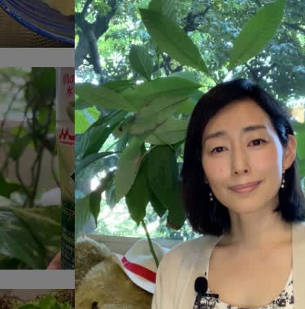 木村多江と植物