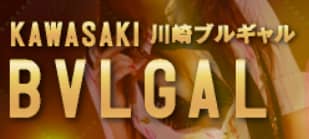 https://www.bvlgal.net/system.html