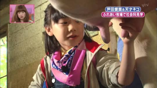 芦田愛菜　おっぱい