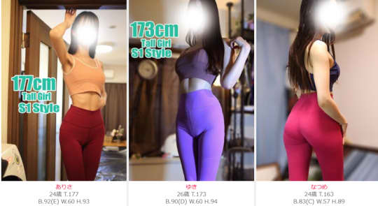 タイトの在籍一覧画像