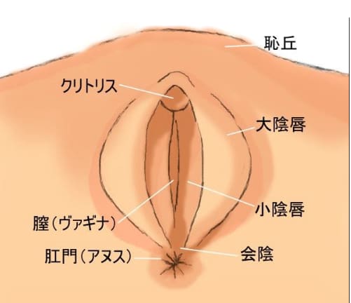 まんこ