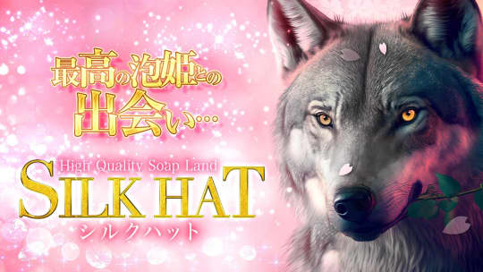 シルクハット　TOP