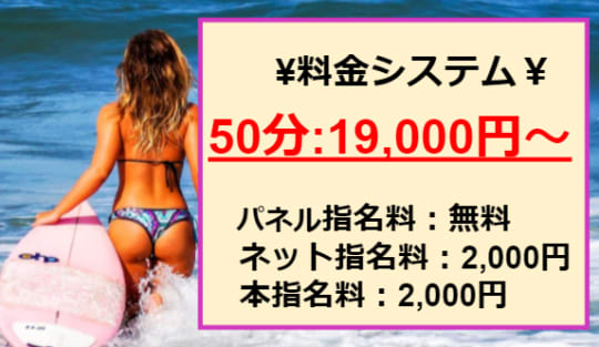 エースの料金表
