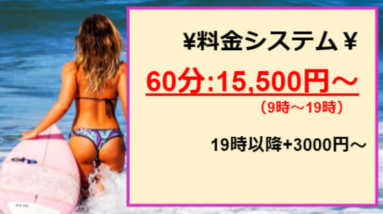  スチワーデスの料金表