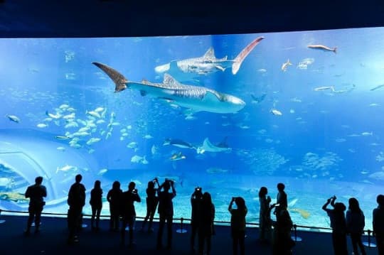 水族館