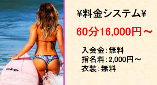 コスプレコレクションの料金表