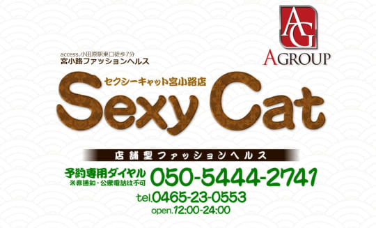 セクシーキャット