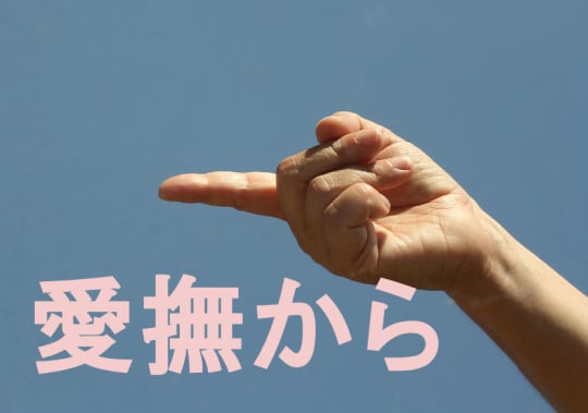 指