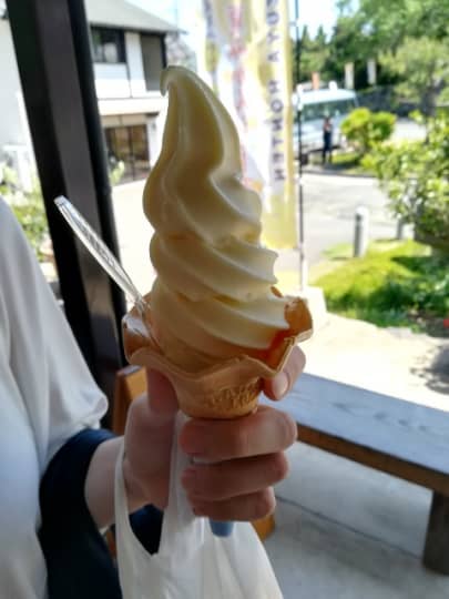 YUZUYA本店夏みかんソフトクリーム