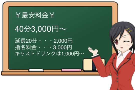 ハニービップの料金表