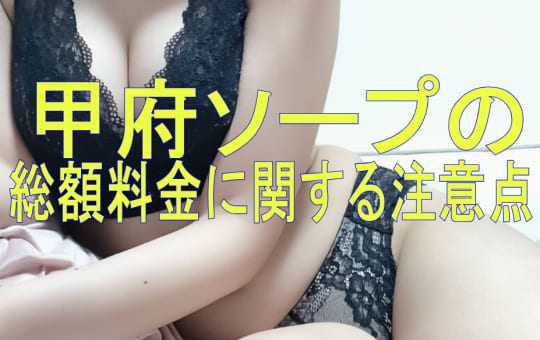 総額料金に関する注意点