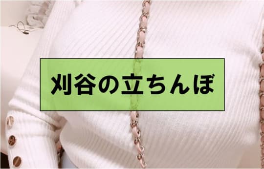 愛知・刈谷でセックスする方法②立ちんぼ