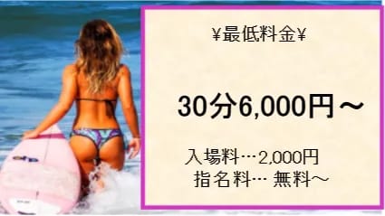 メルティーの料金