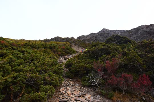 険しい道のり