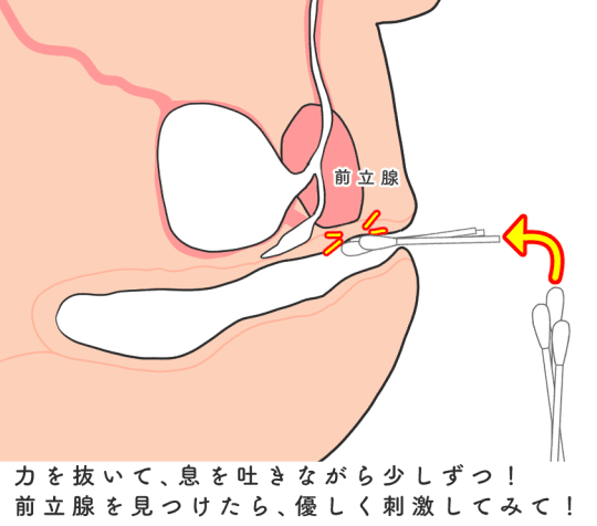 アナル 綿棒