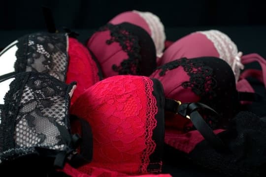 派手なブラジャー