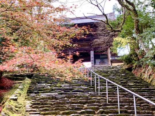 神護寺山門前