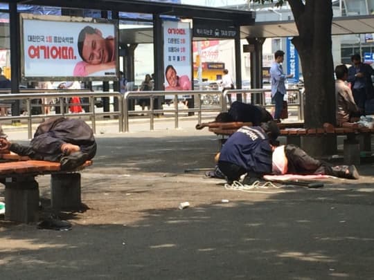 釜山サファリパーク