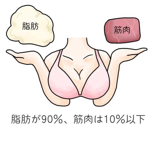 おっぱい