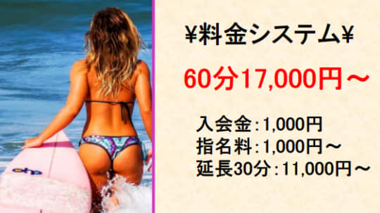 アリス女学院 CCS部の料金表