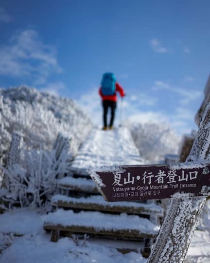 大山の六合目までは樹林帯