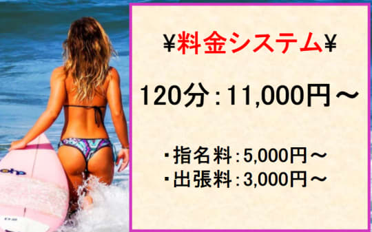 〇〇な彼女研究所の料金システム