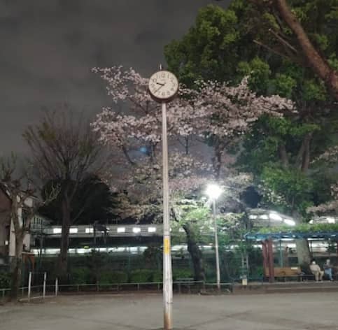 根岸1丁目・公園周辺