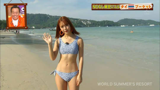 藤田ニコル エロ