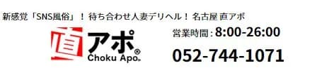 直アポ_ロゴ