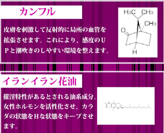 おすすめポイント