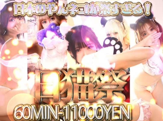 https://www.cityheaven.net/osaka/A2702/A270202/yanneko_nihonbashi/girllist/