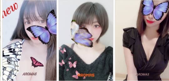 アロマファイブの在籍一覧