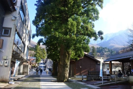 大山寺参道14:45