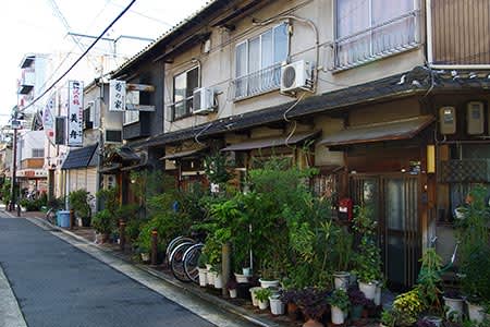 新地