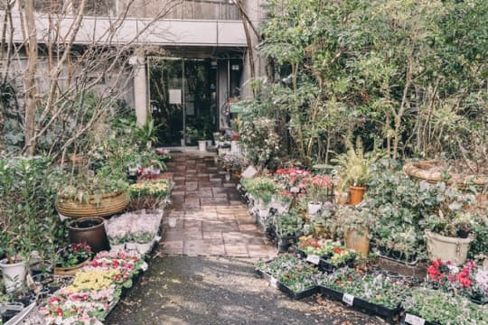 花杏豆の入り口へ続く道