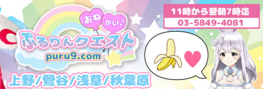 ぷるりんクエスト 秋葉原