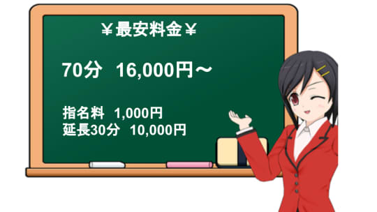 乱れる痴女クラブの料金表