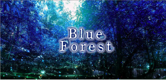 Blue Forest（ブルーフォレスト）のTP