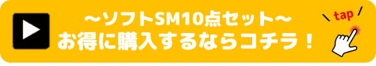 ソフトSM10点セット