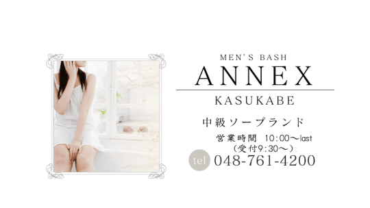 ANNEX
